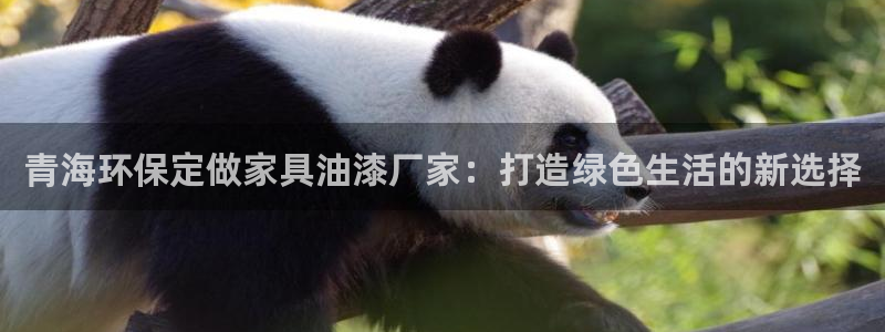 沐鸣平台登陆官网：青海环保定做家具油漆厂家：打造绿色生活的新