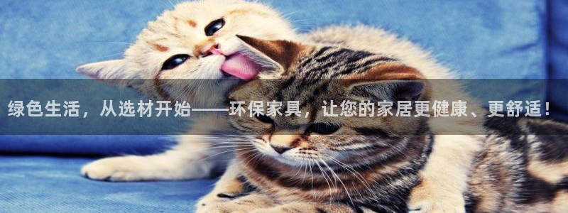 沐鸣平台在线注册：绿色生活，从选材开始——环保家具，让您的家