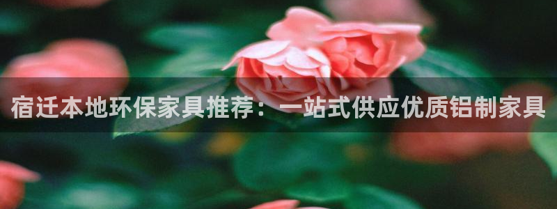 沐鸣注册主管：宿迁本地环保家具推荐：一站式供应优质铝制家具