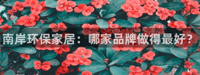 沐鸣app怎样申请退款