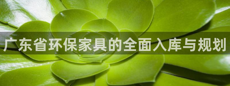 沐鸣官方：广东省环保家具的全面入库与规划