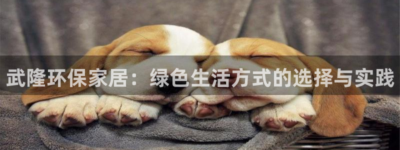 沐鸣平台的专用通道：武隆环保家居：绿色生活方式的选择与实践