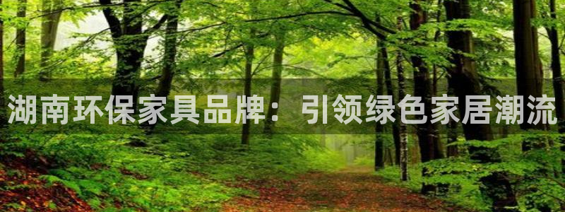 沐鸣平台在线注册：湖南环保家具品牌：引领绿色家居潮流