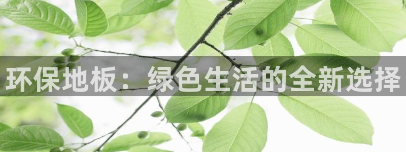沐鸣平台登录：环保地板：绿色生活的全新选择