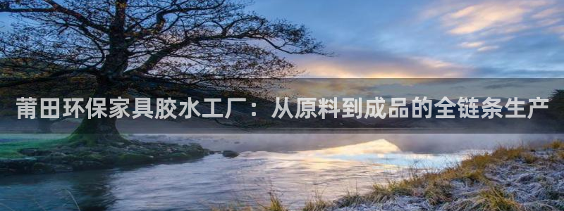 沐鸣注册链接：莆田环保家具胶水工厂：从原料到成品的全链条生产