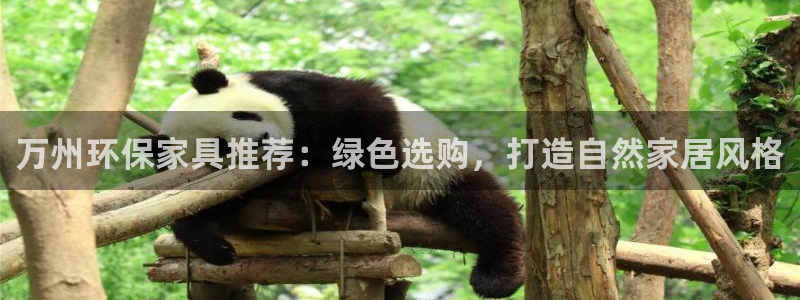 沐鸣平台怎么样：万州环保家具推荐：绿色选购，打造自然家居风格