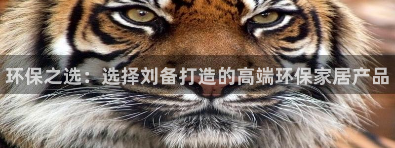 沐鸣平台测速地址：环保之选：选择刘备打造的高端环保家居产品