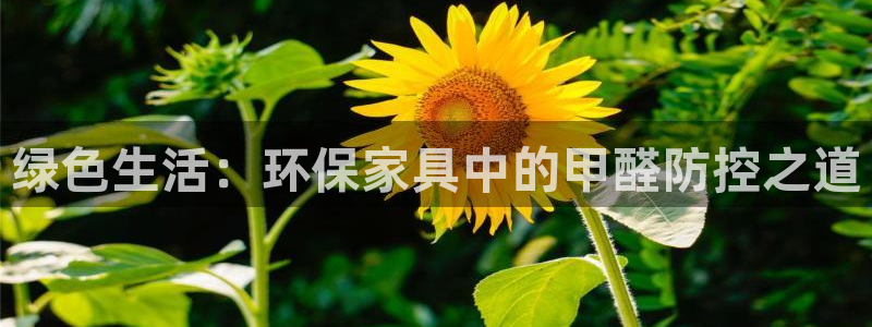 沐鸣app怎样申请退款：绿色生活：环保家具中的甲醛防控之道